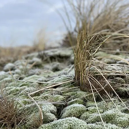 Heckermann 19 Apartment